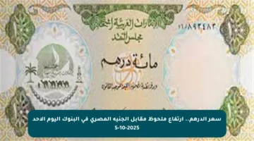 سعر الدرهم.. ارتفاع ملحوظ مقابل الجنيه المصري في البنوك اليوم الأحد 5-10-2025